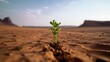 Solitary green sprout growing out of the desert soil with desert mountains in the background