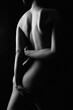 Female Back Nude silhouette. Naked Woman