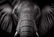 Black and white AI photograph portrait of a majestic elephant in the jungle. The elephant is centered and looking straight at camera. 