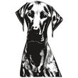 Weimaraner dog black and white vector logo, line art hand drawn vector pets illustration