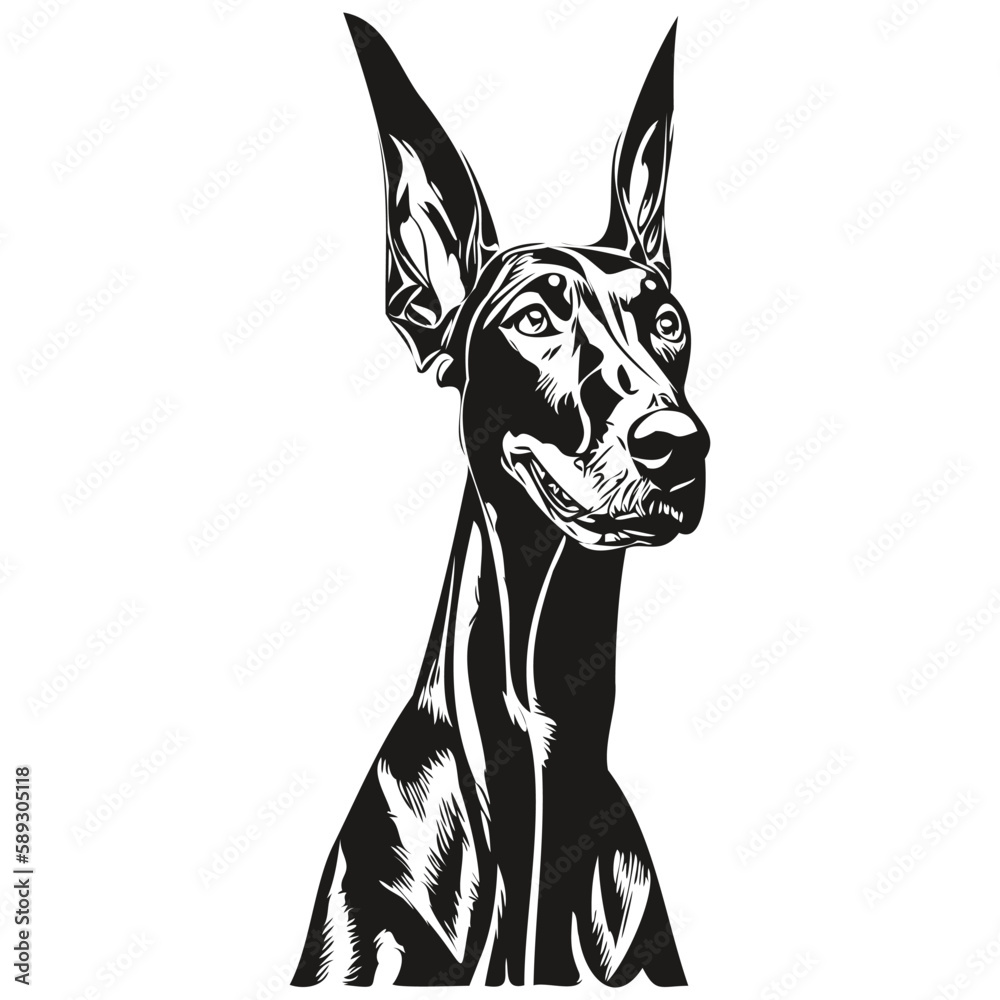 Doberman Pinschers dog line art hand drawing vector logo black and ...