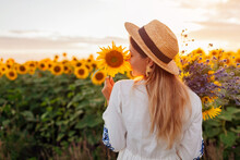 Back View Of Woman Enjoying View In Blooming Sunflower Field At Sunset With Bouquet Of Flowers. Peace And Freedom