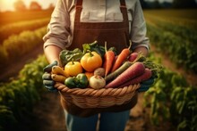 Harvesting, Farmer Holds Basket Of Harvested Vegetables Against The Background Of Farm. AI Generated, Human Enhanced