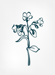 Sticker - wild flower doodle plant flower grass vector line art elegant isolated clip art isolated