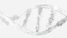 DNA Molecule From Particles. Has White Appearance, Transparent. Can Be Used In Education, Science Or Cosmetics Industry Background. Element Animation Seamless Loop. 3D Render.