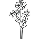 Fototapeta Kosmos - Hand Drawn Flower, Flower Line Art