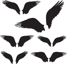 Wings With Feathers. Shape. 
Vector Illustration Of Osprey Bird Wings In Different Variations. 
Bird Illustrations In Vector.