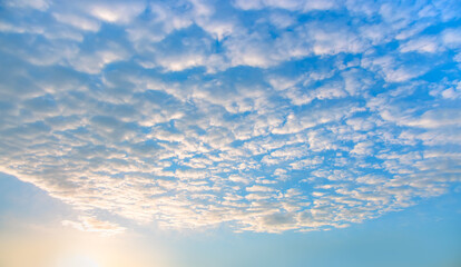 Poster - Blue sky and white clouds background - Pillowy clouds cover a blue sky in the background