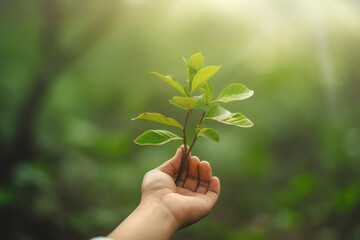 Wall Mural - Hand holding tree on blur green nature background. Green environment earth day concept. Generative ai.