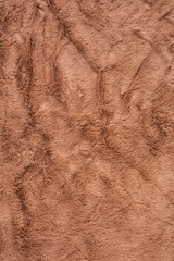 Wall Mural - Brown fur background