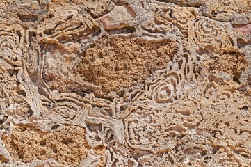 Sticker - Stone wall with carvings on it - texture background