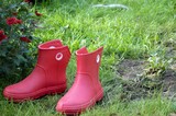 Fototapeta  - rubber boots stand near the lawn for work on the site