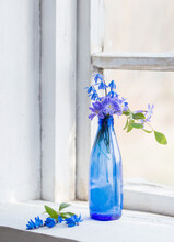 Blue Snowdrops In Glass Bottle On Old White Windowsill