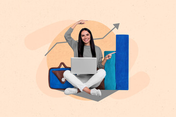 Poster - Creative picture template collage of economist lady using netbook analyze company financial development