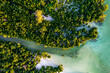 © robertharding - Aerial view of lush mangrove forest in the tropical lagoon, Pingwe, Chwaka Bay, Zanzibar, Tanzania