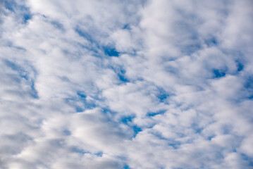 Wall Mural - pattern blue day sky with white clouds