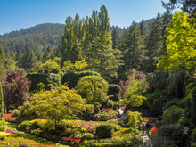 Butchart Gardens, Victoria, Vancouver Island, British Columbia, Canada
