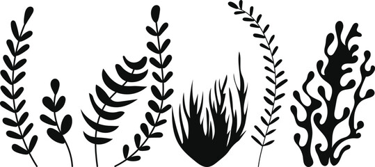Wall Mural - seaweed silhouette set on white background, vector