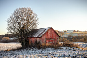 Wall Mural - a red shed in the fields