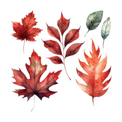 Wall Mural - vector set of red autumn watercolor leaves hand drawn design elements
