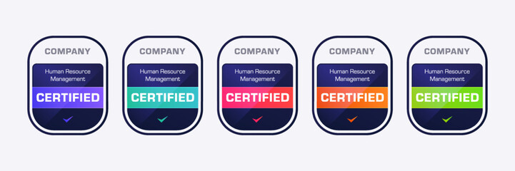 Poster - certified badge design human resource management template. digital certification logo vector illustr