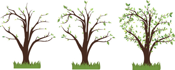 Set of trees with leaves changing seasons November vector illustration