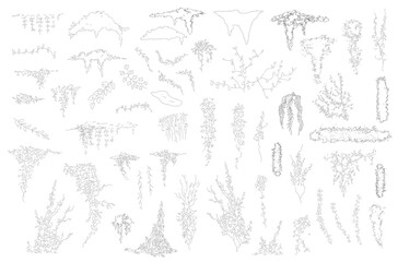 Poster - vines tropical plant drawing, Side view, set of graphics trees elements outline symbol for architecture and landscape design drawing. Vector illustration in stroke
