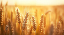 Ripe Ears Of Golden Wheat. Summer Field At Sunset. Based On Generative AI
