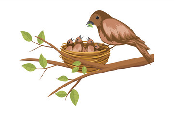 Wall Mural - birds feeding worm to chicks in the nest. bird feed baby