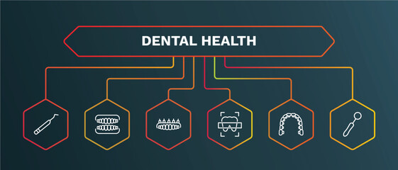 Wall Mural - set of dental health white thin line icons. dental health outline icons with infographic template. linear icons such as dentures, dental prosthesis, x ray, lingual braces, dentist mirror vector.