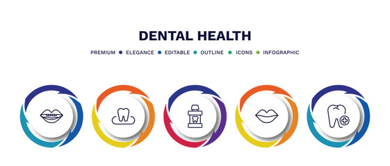 Poster - set of dental health thin line icons. dental health outline icons with infographic template. linear icons such as oral, occlusal, mouth wash, mouth, aid vector.