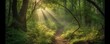 sun rays in the forest. Generative AI