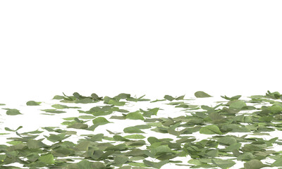 Wall Mural - green leaves isolated