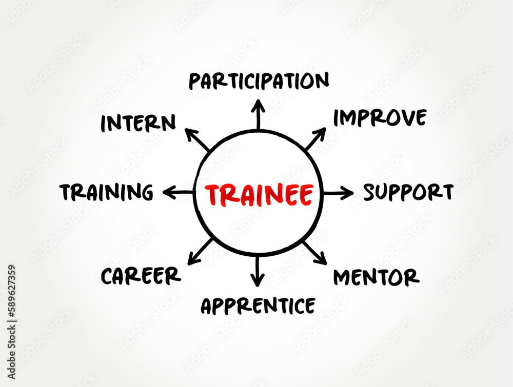 Trainee -  individual taking part in a trainee program within an organization after having graduated from higher and technical courses, mind map concept for presentations and reports