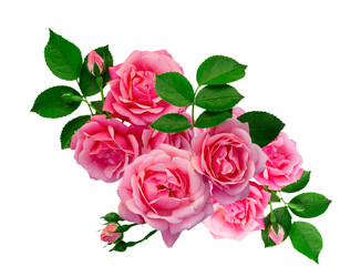 Wall Mural - Pink rose flowers arrangement isolated on white