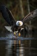 American Bald Eagle diving towards prey, with a fierce expression on its brown-feathered face - generative ai