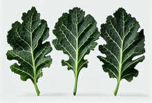 Isolated Of Three Green Kale Leaves. Healthy Food. Generative AI