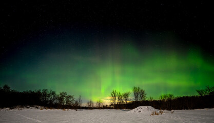 Wall Mural - bright green and yellow aurora in a dark blue sky with stars above a snow covered beaver pond with a