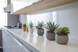 © Enrique - Modern and minimalist kitchen with sleek countertops stainless steel appliances and potted succulents on the shelf in the midday light with a cool and contemporary style | Generative AI