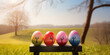 colorful painted easter eggs on wooden bench in front of flower meadow with trees