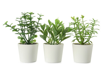 Artificial plants on white background