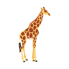 Wall Mural - Animal illustration. Standing giraffe drawn in a flat style. Isolated object on a white background. Vector 10 EPS