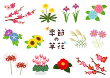 季節の草花のイラストのセット
