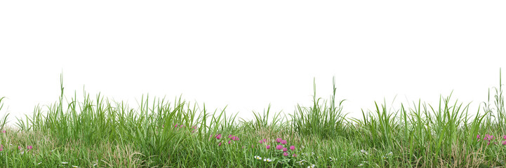 Wall Mural - Green grass and flower fields on transparent background 3d rendering png