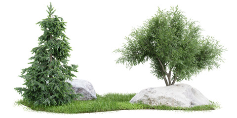 Poster - group of tree isolated on transparent background 3d rendering png