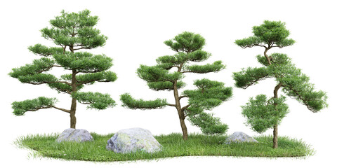 Poster - group of tree isolated on transparent background 3d rendering png