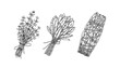 © Kseniia - Herbal bunches. Set of hand drawn leaf seasonings. Vector illustration in sketch style.