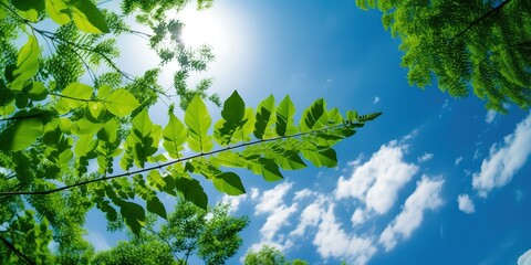 Poster - View of the treetops and the blue sky.Colorful summer template. Concept of recreation. Generative AI