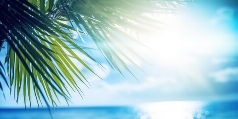 Poster - Summer picture of the sun's rays breaking through the leaves of a palm tree.Colorful summer template. Concept of recreation. Generative AI