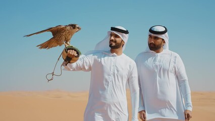 Wall Mural - Falconer training his falcon bird in the desert of Dubai. Locals spending time on the dunes in Sharjah. Concept about traveling in the united arab emirates